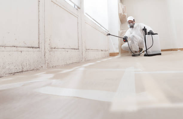 24/7 Emergency Mold Remediation experts in Manchester, TN